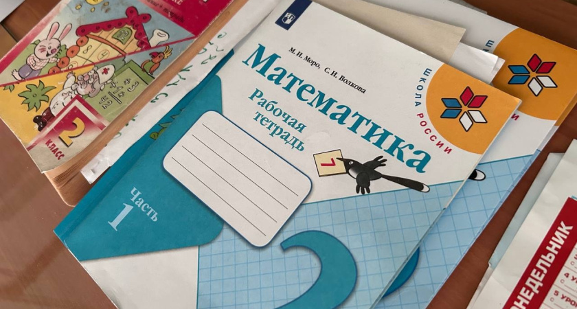 "Морозный отпуск?": почти неделю в январе школьники Кургана учились дистанционно из-за аномального холода