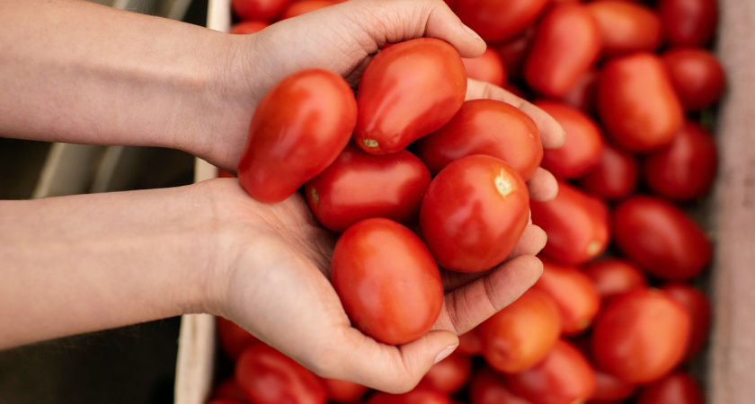 Соседи смеялись над моим методом выращивания томатов, а теперь просят совета: как я собираю по ведру помидоров всего с 2 кустов