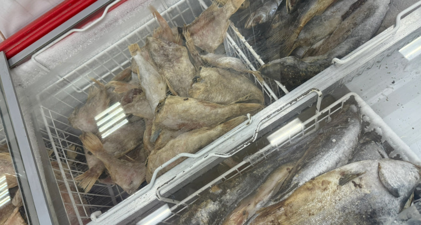 Та же польза, только дешевле: Роскачество назвало лучшие марки рыбы - филе без костей и жижи