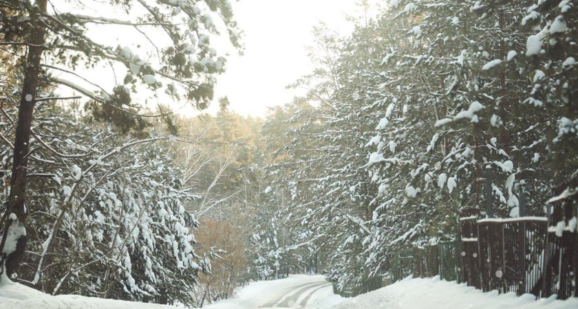 До -40°: в Курганской области объявлено предупреждение о сильных морозах
