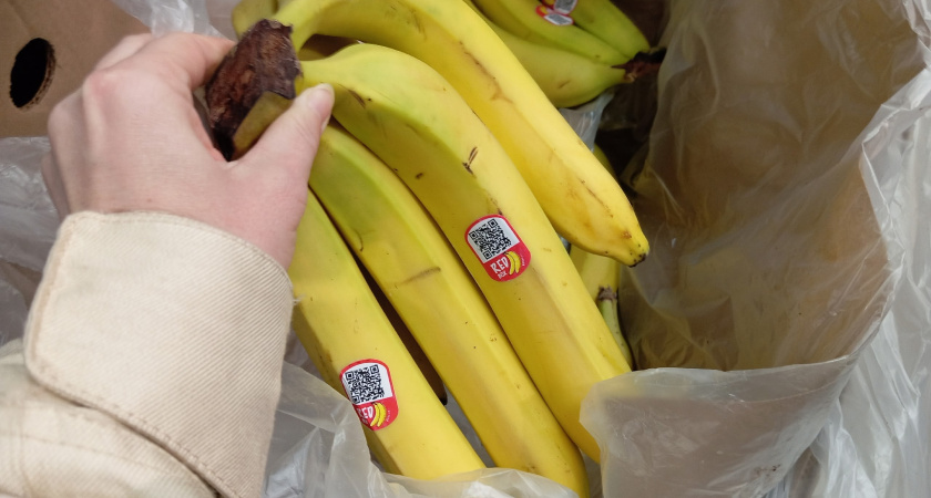 Наконец-то дали четкий и понятный ответ: можно ли есть бананы с черными точками