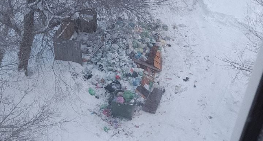 "Мусорный полигон прямо под окнами": горы отходов "радуют" взгляды курганцев на одной из улиц