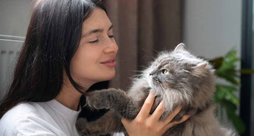 Почему нельзя смотреть на кошку в упор: 4 неочевидных ошибки в общении, из-за которых питомец вас избегает