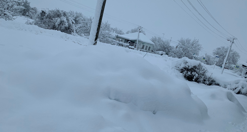 Курганцы смогут построить свой дом в Левашово и других микрорайонах