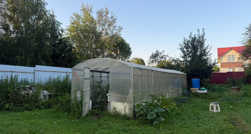 Теплицы из поликарбоната больше не в моде: эта прозрачная замена в 10 раз дешевле и в 100 раз практичнее 