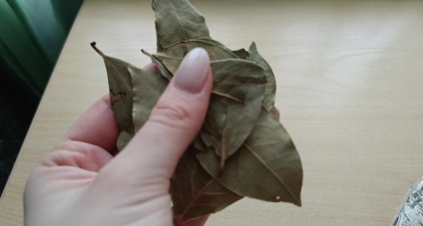 Лаврушкой спасла все цветы в доме: сделала лавровый "клининг" листочкам - отблагодарили пышными шапками и новыми бутонами