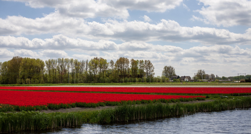 Белоруссия без прикрас: 10 вещей, которые нас разочаровали в первой поездке — от «низких» цен до восковых конфет