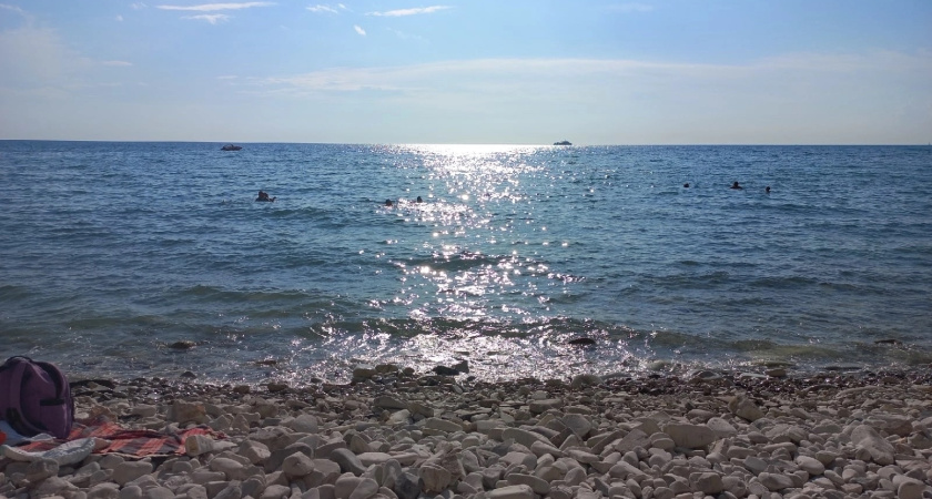 5 лет мечтали переехать на юг: поселились в Краснодаре и поняли горькую правду - вот что осознали на сегодня