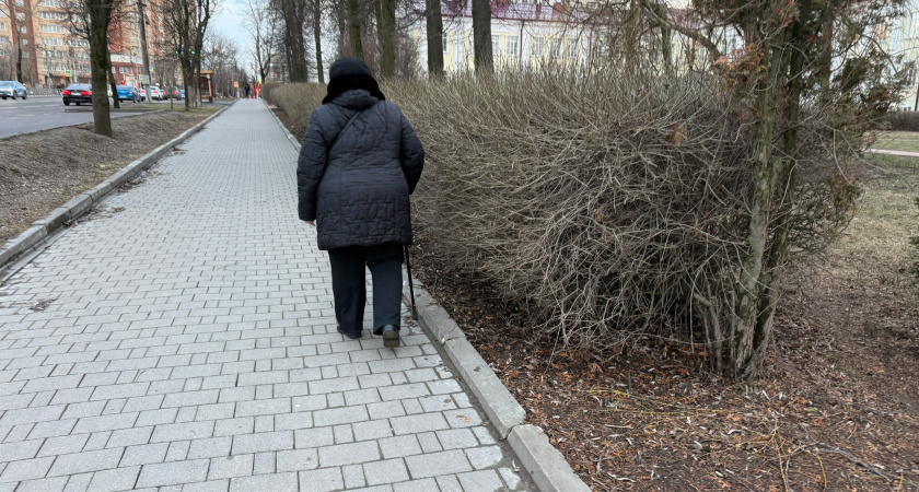 Не верьте своим детям и внукам: 4 правила счастливой старости - о таком не принято говорить вслух 