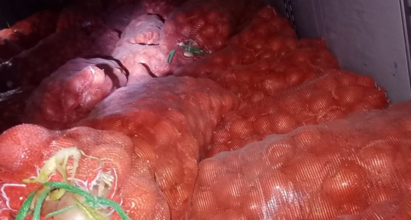 В Курганской области остановлен ввоз 42 тонн лука из Казахстана