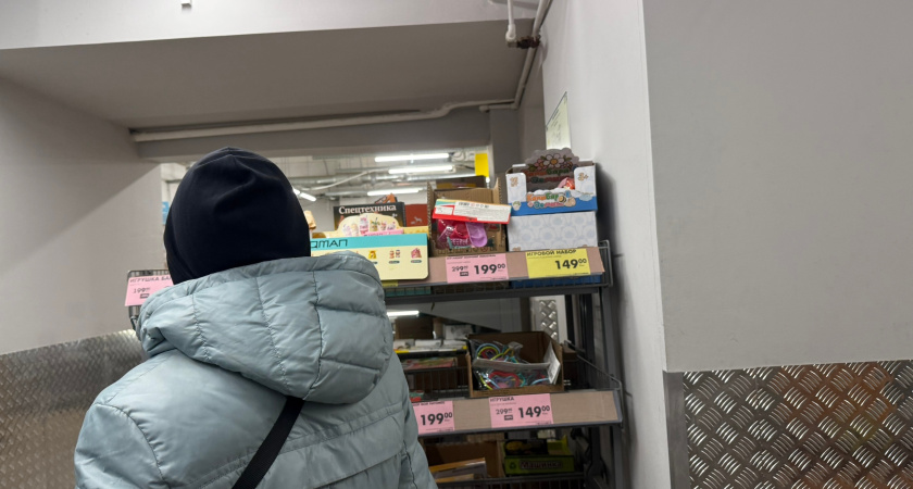 Пока "Чижик" держит цены, бегу за покупками: тестирую в офисе 3-ярусную тележку за 1000 руб - коллеги все обзавидовались находке 