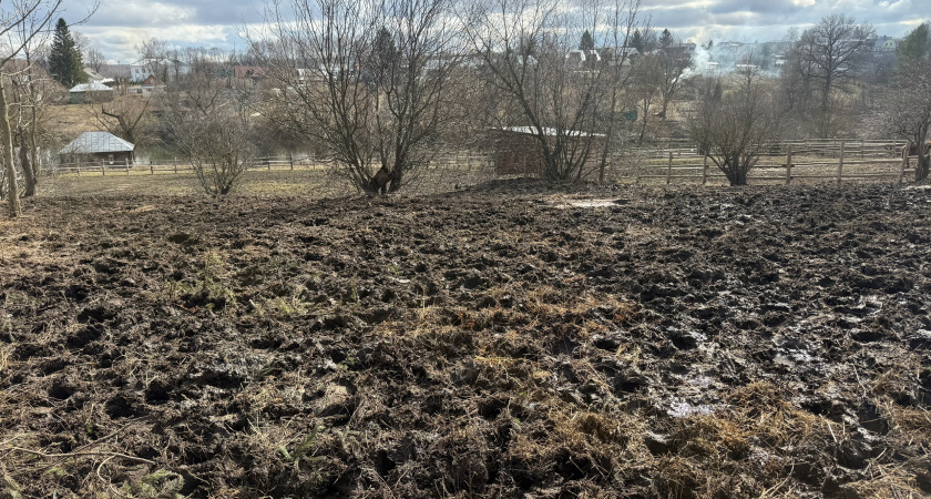 На удобрение беру только такой навоз: аграрии научили хитрости жирной почвы - урожай с дачи некуда девать