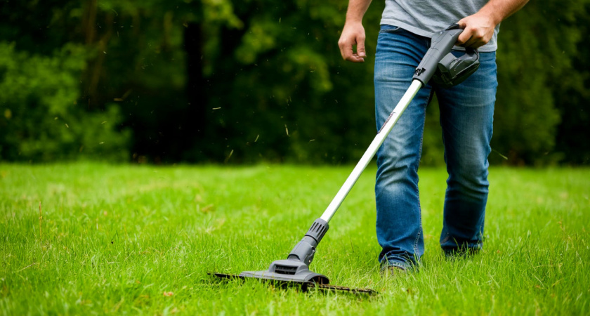 Косить траву триммером с леской больше не в моде: Европа давно перешла на другую технологию, а мы все по-старинке