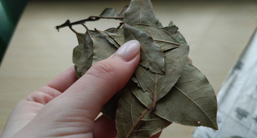 От мужниных ботинок больше потом не пахнет: хитро сварила лаврушку и к ногам - муж перестал стыдиться снимать обувь 