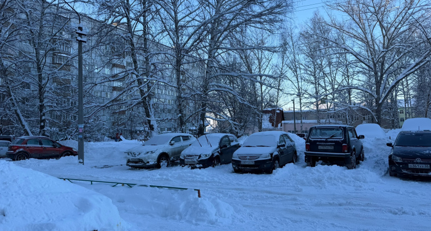 В Курганской области объем снега превысил норму в 1,5-2 раза