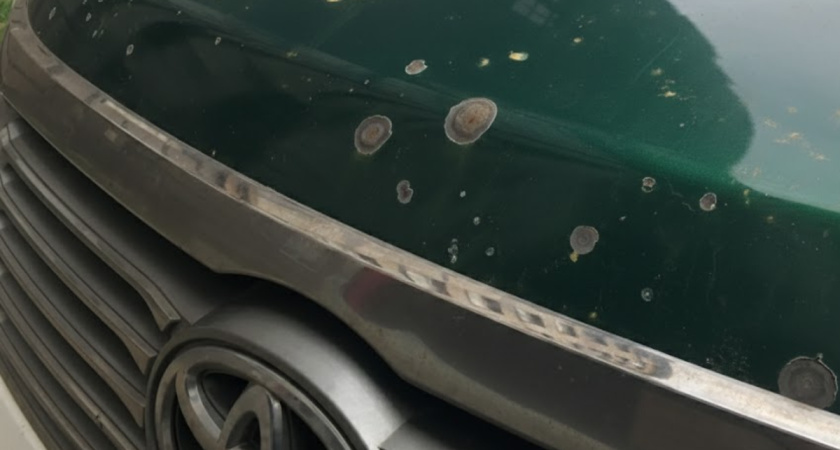 «ЦОК!» — и капот под перекраску: как защитить машину от сколов, чтобы не было мучительно больно