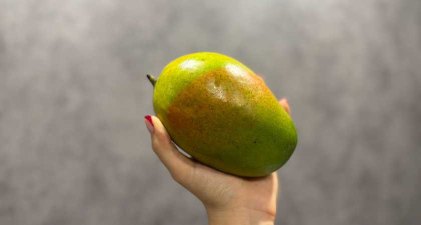 Купила в магазине манго и посадила в мини-парник: 1 капля средства в почву - через неделю выдал первую "лапку"