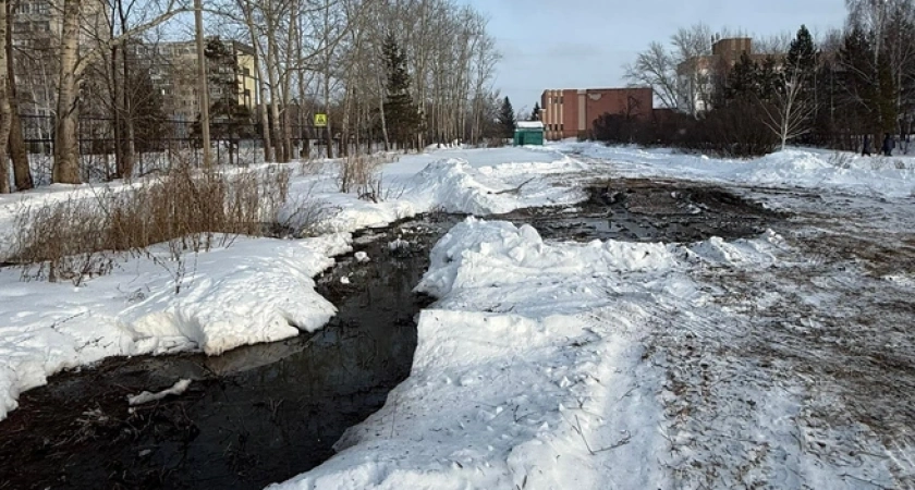 «Вся эта жижа стекает прямо в Тобол»: студенческий городок в селе Лесниково затоплен фекалиями