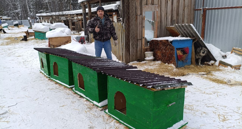 Шадринские школьники подарили приюту для собак тёплые будки
