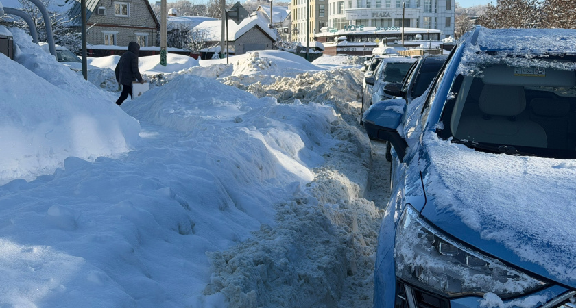 Накроет метелями и снегом: синоптики озвучили точный прогноз на февраль - ждать ли новой волны морозов
