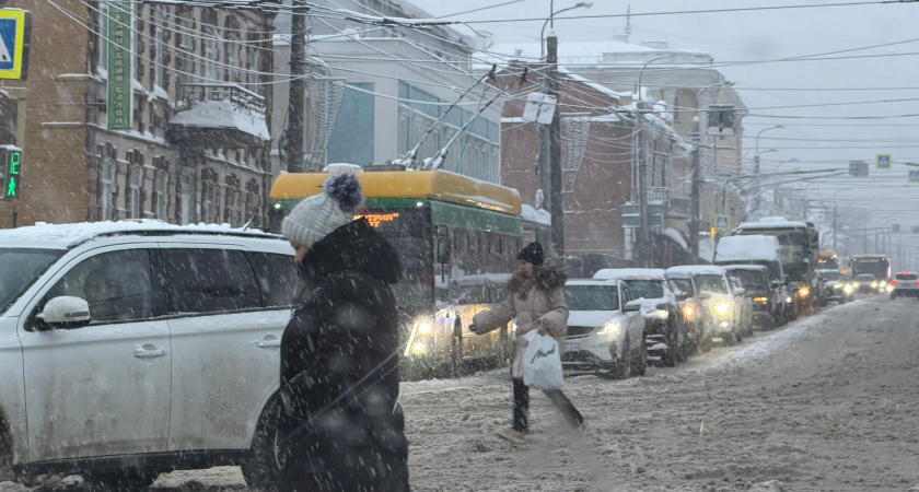 Почему хитрые водители покупают авто белого цвета: секрет светлой "базы" на дорогах работает безотказно - и дело не в особом шике