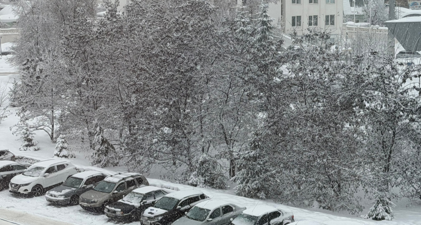 Март удивит аномалиями: известен точный прогноз на начало весны - вот что покажет столбик термометра