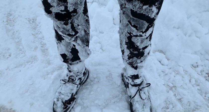 Один лист под стельку — и ноги не мерзнут даже в минус 30: лайфхак для прогулки в мороз