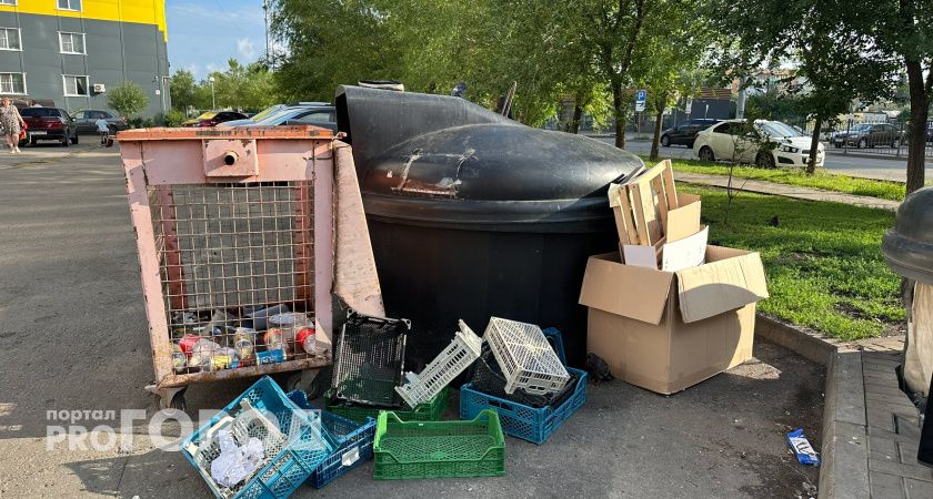 В Курганской области мусорную реформу назвали точкой напряжения