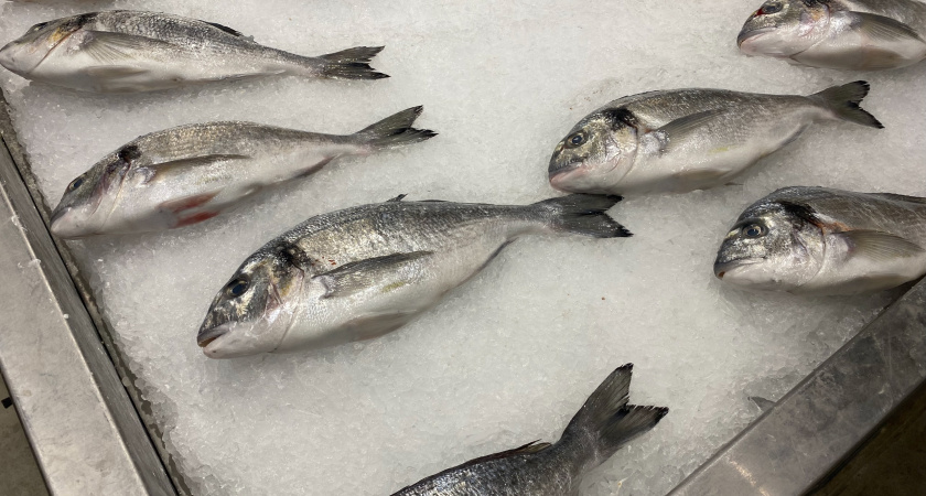 Рыбопромышленники Кургана снижают цены на рыбу