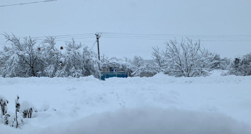 Зауральский фермер получил пять миллионов рублей на воплощение мечты