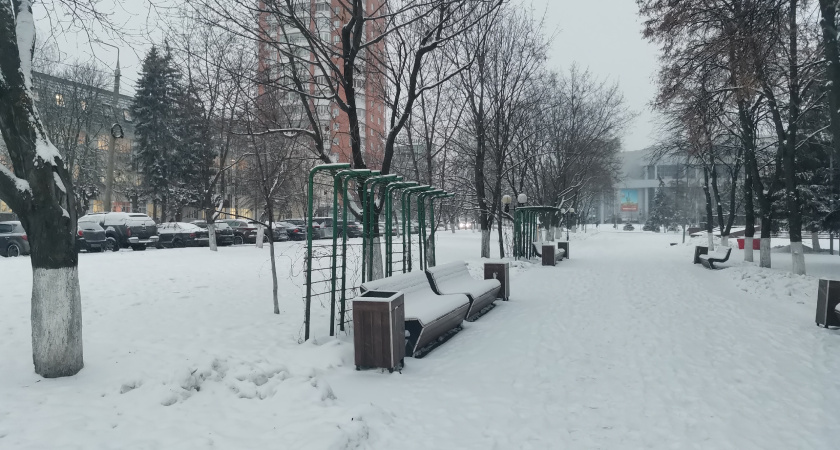 Медведи СУЭНКО уезжают из Кургана 16 февраля