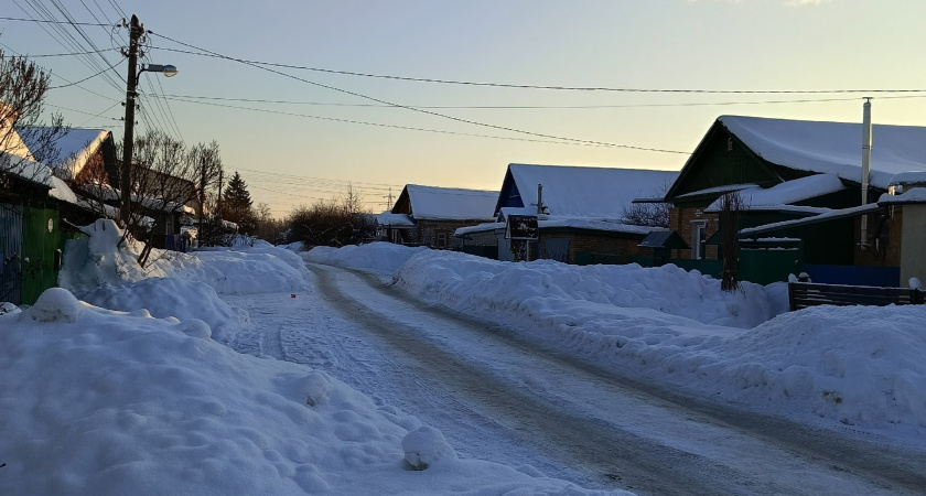 В центре кинологической службы курганского УМВД родились пять щенков