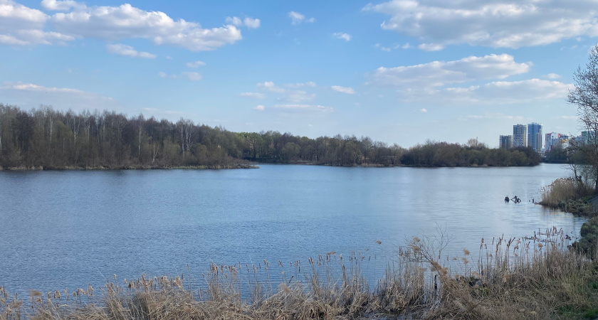 Расчистка Тобола в Кургане затормозилась из-за ошибок подрядчиков