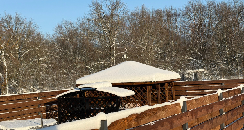 Умные хозяева давно снесли сплошной забор из доски: нашли другой способ отгородиться от соседей - красивее и за ту же цену