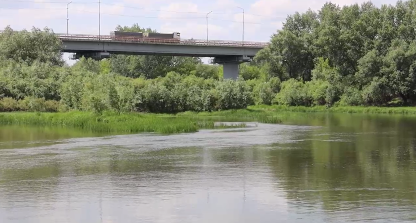 В Курганской области продолжают расчищать русло Тобола для защиты от паводков