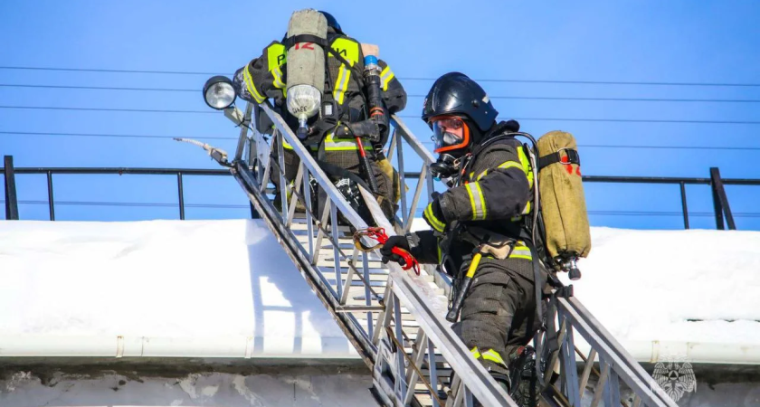 За последние 24 часа в Курганской области пожарные подразделения справились с тремя возгораниями