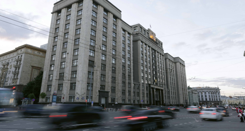 В Госдуме раскритиковали инициативу курганского депутата об эвтаназии бездомных животных