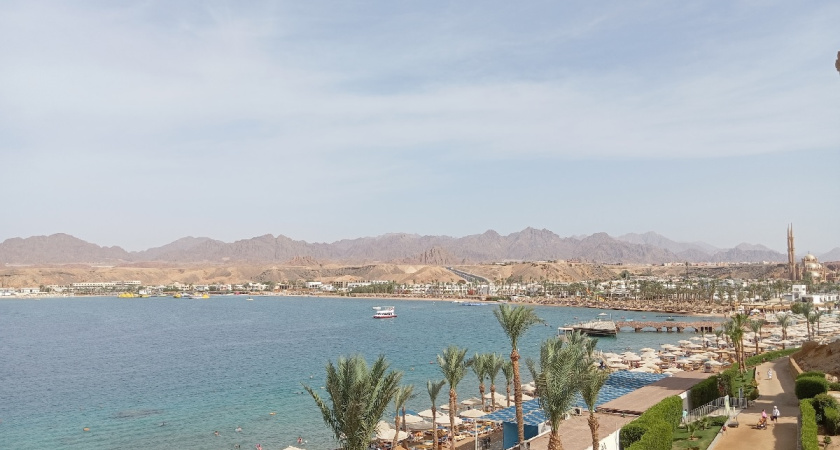 Египет будет сниться только в кошмарах: туристы явно не ожидают такой встречи