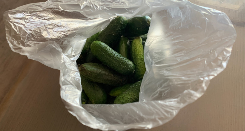 Цены на огурцы в Курганской области резко выросли