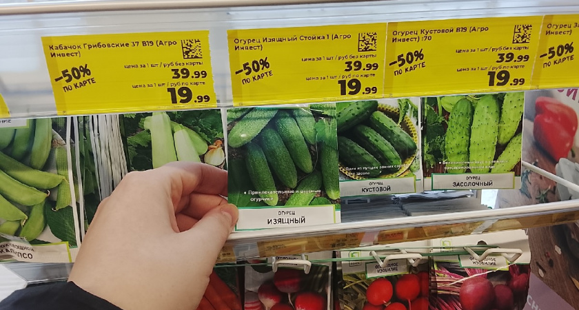 Точнейший расчет сроков посадки семян на рассаду: для регионов на 2026 год - быстрее запоминайте 