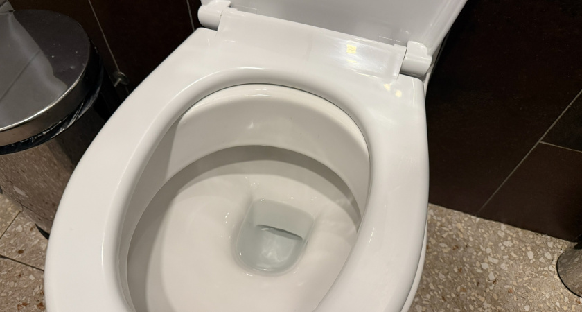 Почему японцы садятся на унитаз лицом вперед: узнал причину и был поражен — но логика в этом есть