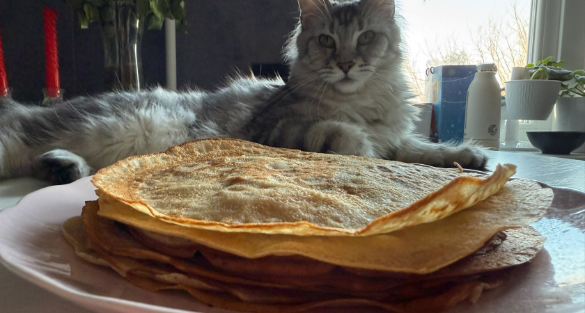 В Заозёрном 21 февраля на Масленицу сожгут чучело зимы