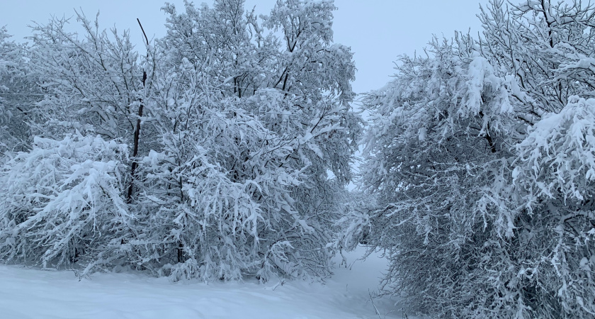 Объём сбросов воды с Каратомарского водохранилища в Казахстане увеличивают сейчас