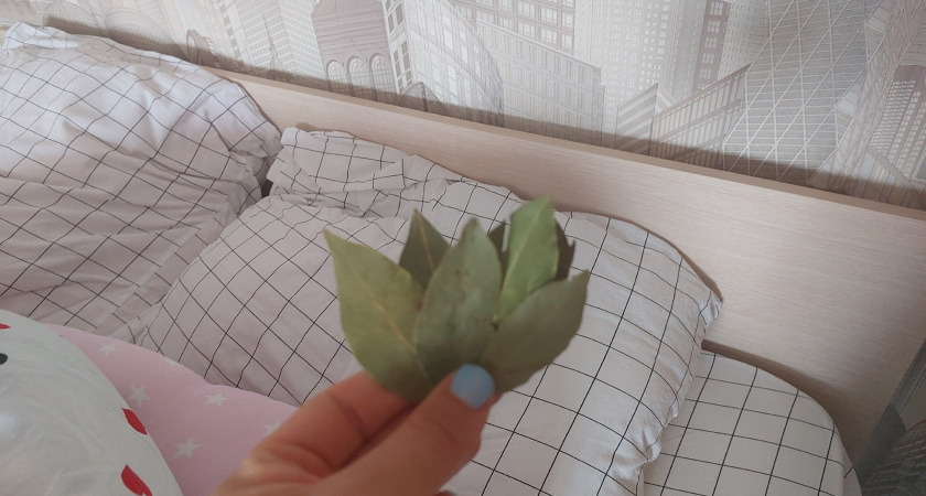 Кладу лавровый лист под матрас и под подушку: важный совет - запомните на всю жизнь