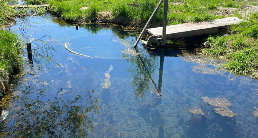 В Курганской области выставили на продажу минеральный источник почти за 2 млн рублей