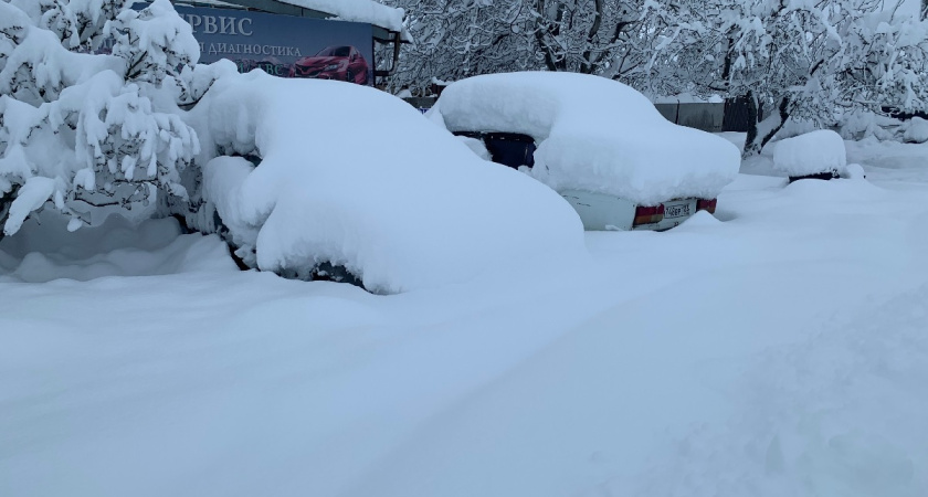 Смазываю лопату - и больше нет мучений: теперь убираю снег быстрее и проще: классный результат