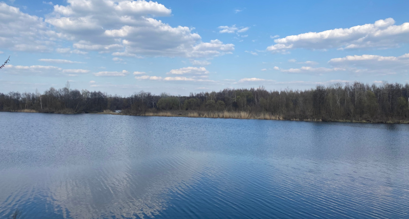 Русло реки Тобол в Кургане приведут в порядок