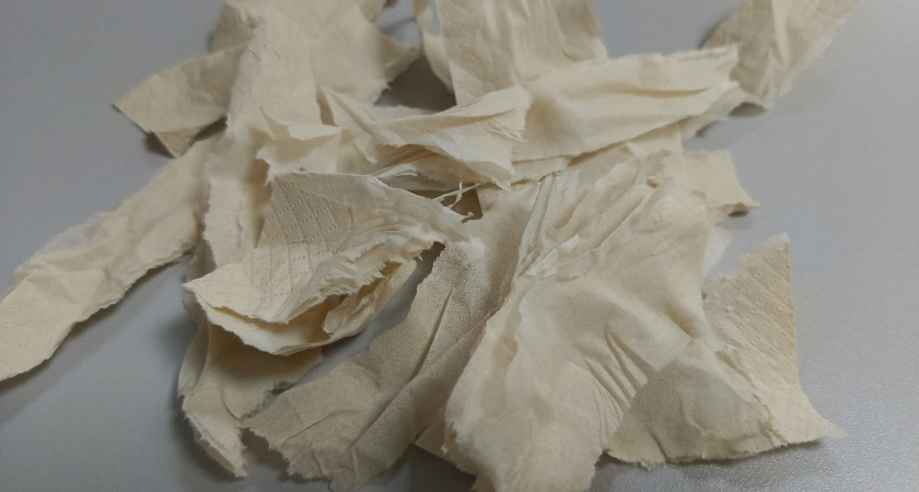 Рву туалетную бумагу и прячу по углам: тараканы разбегаются в ужасе и не возвращаются