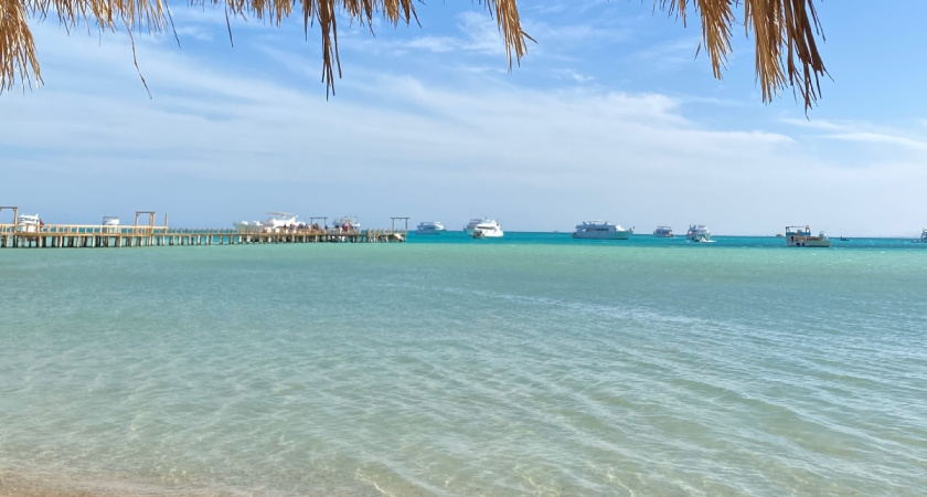 "Вонь. Крыс больше, чем китайцев": туристка рубанула правду об отдыхе в Хайнане 