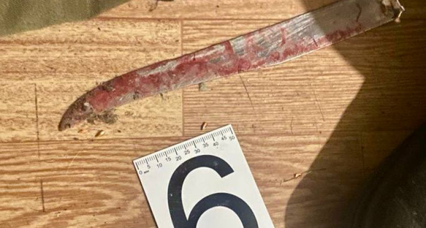 Курганец предстанет перед судом за убийство во время застолья